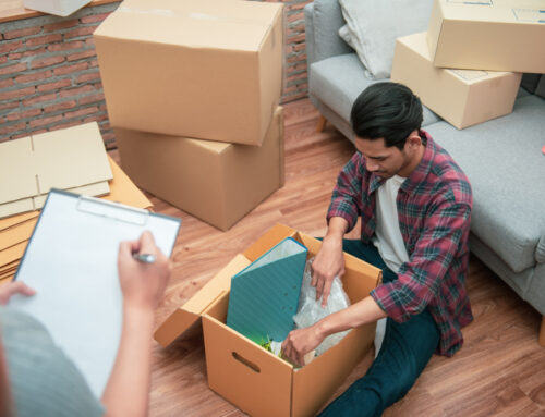 Tips for Making Your Apartment Feel Cozy All Year Long